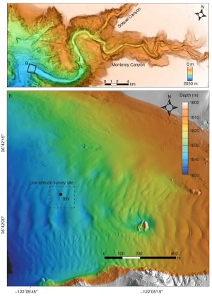 A map of Monterey Canyon (top, labeled A) and a detailed map of study site (bottom, labeled B). The top map labeled A shows the continental shelf in pale orange, and twists and turns of Monterey Canyon in a gradient of orange, yellow, green, blue, and purple. The canyon starts at orange to the right, with its deepest reaches on the left represented in purple. A label for the “Soquel Canyon” is below a branch of the canyon and a label for “Monterey Canyon” is below the main canyon channel. On the left side is a black box labeled “B.” On the bottom is a black-and-white striped scale bar marked with 0, 1, 2, and 4 kilometers. To the top right is a compass with four points with “N” marking north and pointed diagonally to the right. To the bottom right is a depth legend with a rectangle with a gradient of white, orange, yellow, green, blue, and purple that represents 0 meters (top) and 2,050 meters (bottom). The bottom map labeled B shows a detailed section of the Monterey Canyon map above. This map shows a depth gradient—represented right to left by shifting colors from orange to yellow to green to blue—and the rippled texture of the seafloor. A box with dashed black lines is labeled “Low-altitude survey site” and contains a single small black dot that reads “SIN.” On the bottom is a black-and-white-striped scale bar marked with 0, 100, 200, and 400 meters. At the top right are a compass with four points with N marking north directly above and a depth legend with a rectangle with a gradient of white, orange, yellow, green, blue, and purple and notches marking 1,800, 1,810, 1,820, 1,830, 1,840, and 1,850 meters. Outside the map are labels for latitude on the left (36°42’00’’ and 36°42’15’’) and longitude (-122°05’45’’ and -122°05’15’’).
