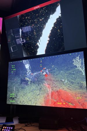 Monitors in the dark submersible control room aboard a research ship display video feeds from a robotic submersible. The bottom monitor shows a scientific instrument illuminating a stick-like coral with red light. The top monitor shows the camera feed from the instrument with multi-colored particles swirling around an overexposed white coral.