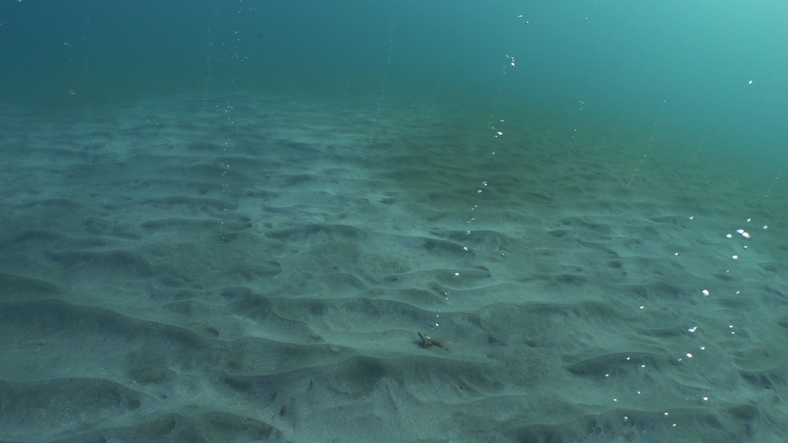 Ready, set, dive! • MBARI