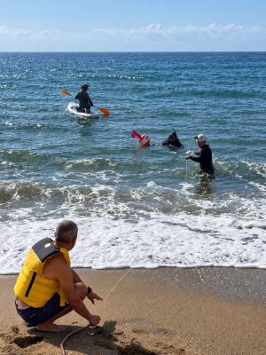 Four people coordinate deployment of a yellow fiber-optic cable from the shoreline. One researcher is crouched on the sandy beach, while divers work in shallow water and another researcher assists from a stand-up paddleboard.