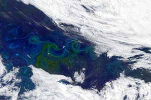 A satellite photo shows a bloom of plankton in the Southern Ocean. The spiraling eddies of green plankton swirl in the blue ocean with white clouds at the top and bottom.