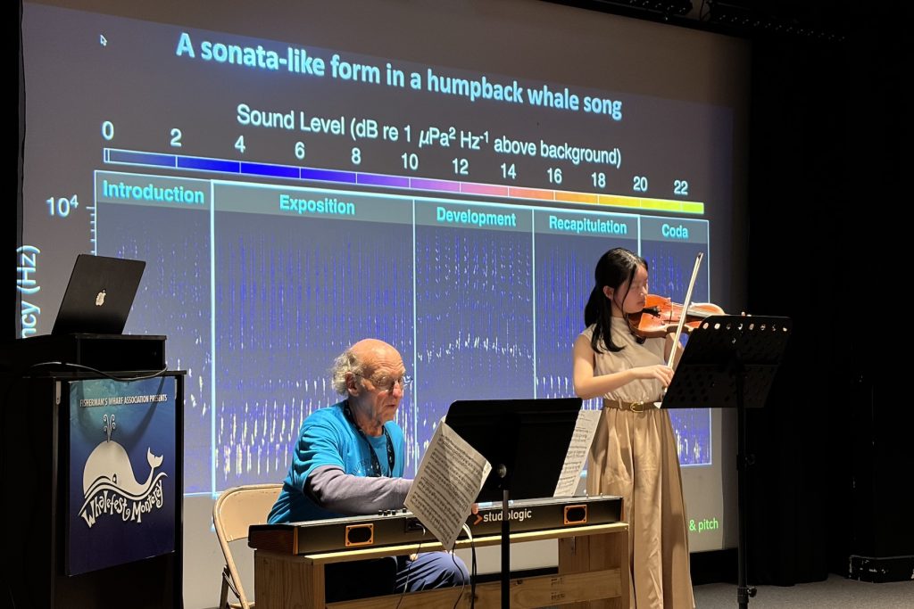 Two musicians perform together on a stage. On the left is a pianist seated on a metal folding chair in front of a keyboard and black music stand. On the right is a violinist standing in front of a black music stand playing the violin. On the left side of the frame is a podium with the Whalefest logo on it and a laptop computer. In the background is a projector screen showing a visual representation of whale song with phases labeled, Introduction, Exposition, Development, Recapitulation, and Coda. Above is a title that reads, A sonata-like form in a humpback whale song.