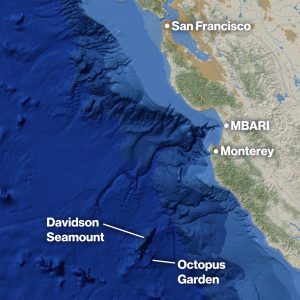 Location of the Octopus Garden off the Central California coast