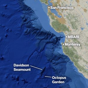 A topographic map showing part of the Central California coastline in pale gray, brown, and green on the right and the eastern Pacific Ocean on the left in three shades of blue representing depth gradients. Three white dots and accompanying text labels mark the locations for San Francisco, Monterey, and MBARI’s research facilities in Moss Landing, California. At the bottom center of the map, labels call out the location of Davidson Seamount and the Octopus Garden in white text.