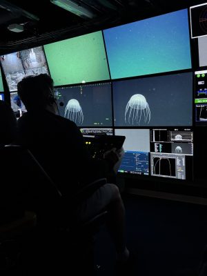 A scientist sits in the dark submersible control room aboard a research vessel. He has his back to the camera, and is operating camera controls while watching a wall of monitors displaying live video from a deep-sea submersible and data from scientific instruments.