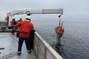 MBARI marine operations crew deploys a scientific instrument over the side of a research ship. The crew members are wearing white hard hats, orange life vests, and black pants. The scientific instrument has a silver metal frame topped with an orange foam float. The instrument is suspended from a white metal crane and is being lowered into the water. In the background are blue-gray ocean and gray overcast sky.