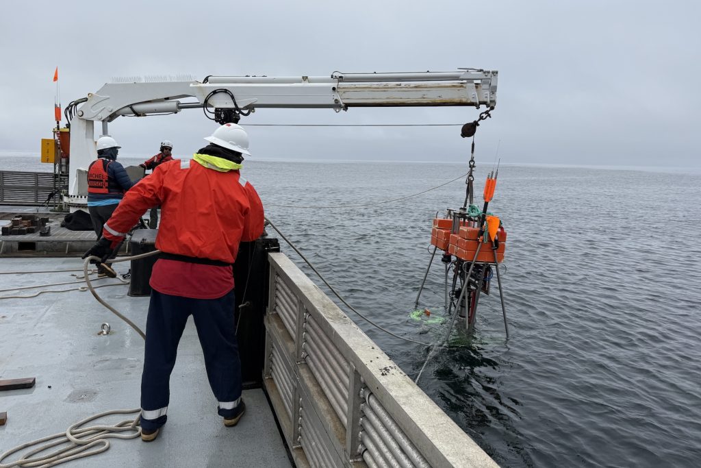 MBARI marine operations crew deploys a scientific instrument over the side of a research ship. The crew members are wearing white hard hats, orange life vests, and black pants. The scientific instrument has a silver metal frame topped with an orange foam float. The instrument is suspended from a white metal crane and is being lowered into the water. In the background are blue-gray ocean and gray overcast sky.