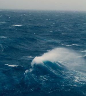 A large wave of bright blue seawater and white foam crests at the ocean’s surface. The background is blue ocean water with scattered white caps and grayish-blue sky.
