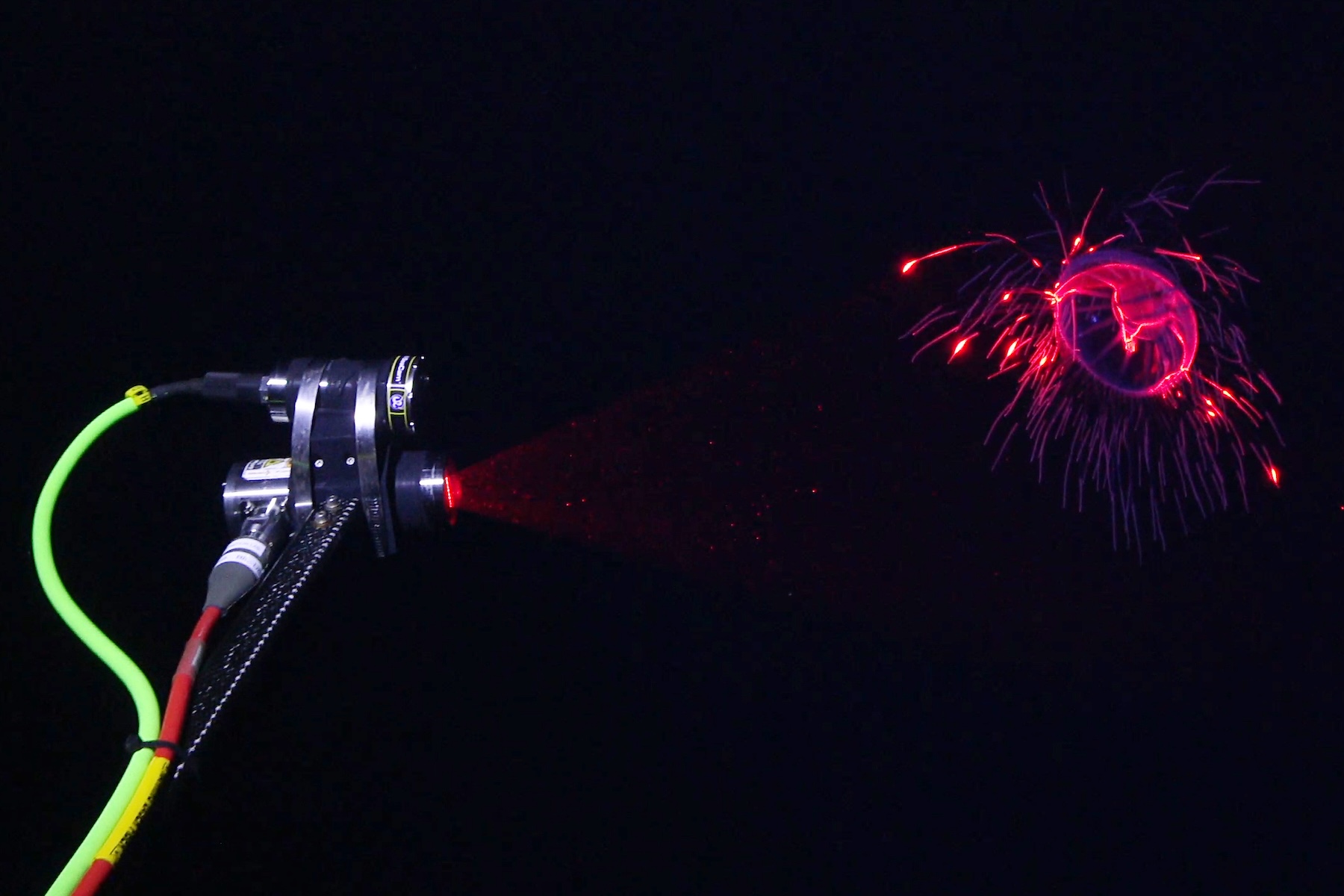Innovative MBARI technology plays integral role in expedition to document deep-sea biodiversity