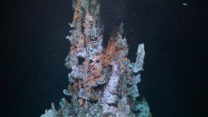 Hot water and fine particles of minerals spew out from the rocky spires of a deep-sea hydrothermal vent. The spires are rusty-brown with an ashy-white crust. On top of the spires are white shrimp, yellow crabs, and orange mussels. The background is black water.