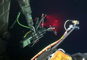 An instrument projects red light around a gelatinous, barrel-shaped salp. The camera system includes four black plastic light canisters extended from silver metal arms connected to a dark-gray plastic-and-metal camera housing. The four canisters are shining cones of red light. The camera system is being held by a silver metal robotic arm with bright green cables connected to the robot outside of the frame. This screen capture from underwater video also shows a second instrument to the right of the frame. That instrument has a silver metal canister and a dark-gray plastic canister and is mounted on a wide, flat metal rod with white and orange cables. An orange-and-gray plastic camera housing is visible at the bottom of the frame. Open, dark-blue water is visible in the background.
