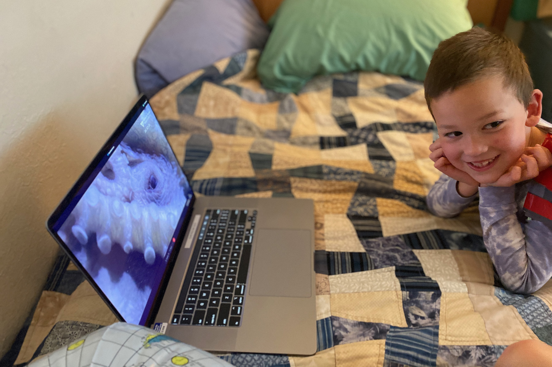 A child watches MBARI video at home.
