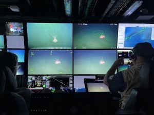 A submersible pilot and a scientist watch a live video feed of a deep-sea squid on a wall of monitors in the dark submersible control room aboard a research ship. The pilot is seated on the left, and the scientist is upright in his chair on the right, taking a photo.