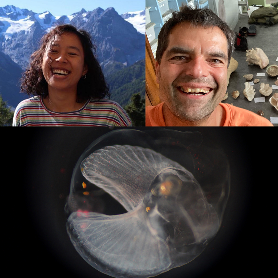 photo of seminar speakers Thomas Stach and M. Le as well as a photo of a larvacean.