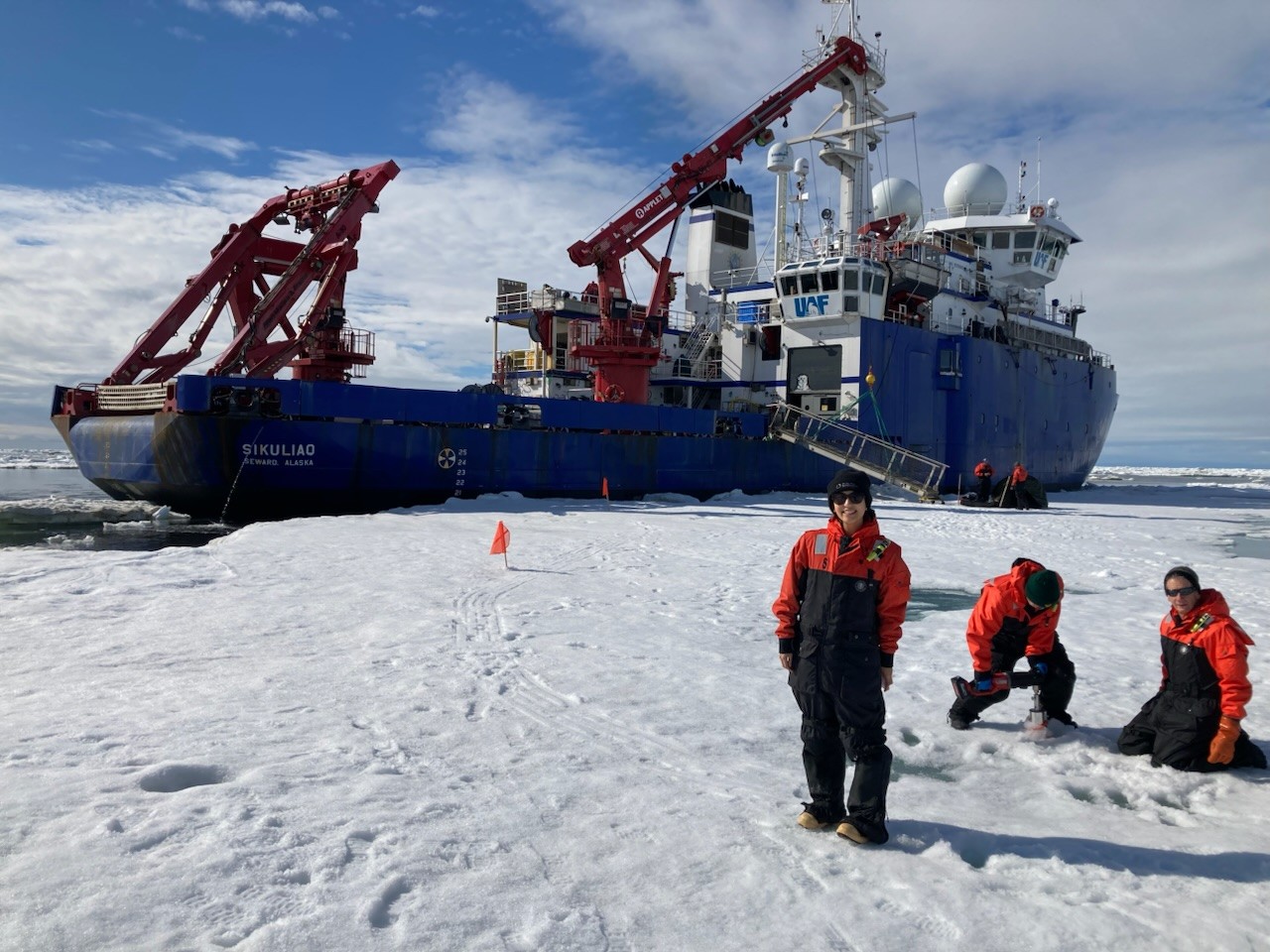 Bridging scales from cell-level sinking dynamics to large-scale Arctic ...