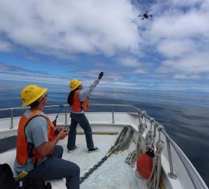 Two researchers launch a black plastic drone from the deck of a research vessel. The researcher on the left is wearing a yellow hard hat, sunglasses, orange life vest, light blue t-shirt, and dark blue pants, and is seated while operating a remote controller. The researcher on the right has long brown hair, is wearing a yellow hard hat, gray jacket, orange life vest, blue pants, and black sneakers, and is standing and waving to the drone in the sky. The background is still, blue ocean with blue sky and gray clouds on the horizon.