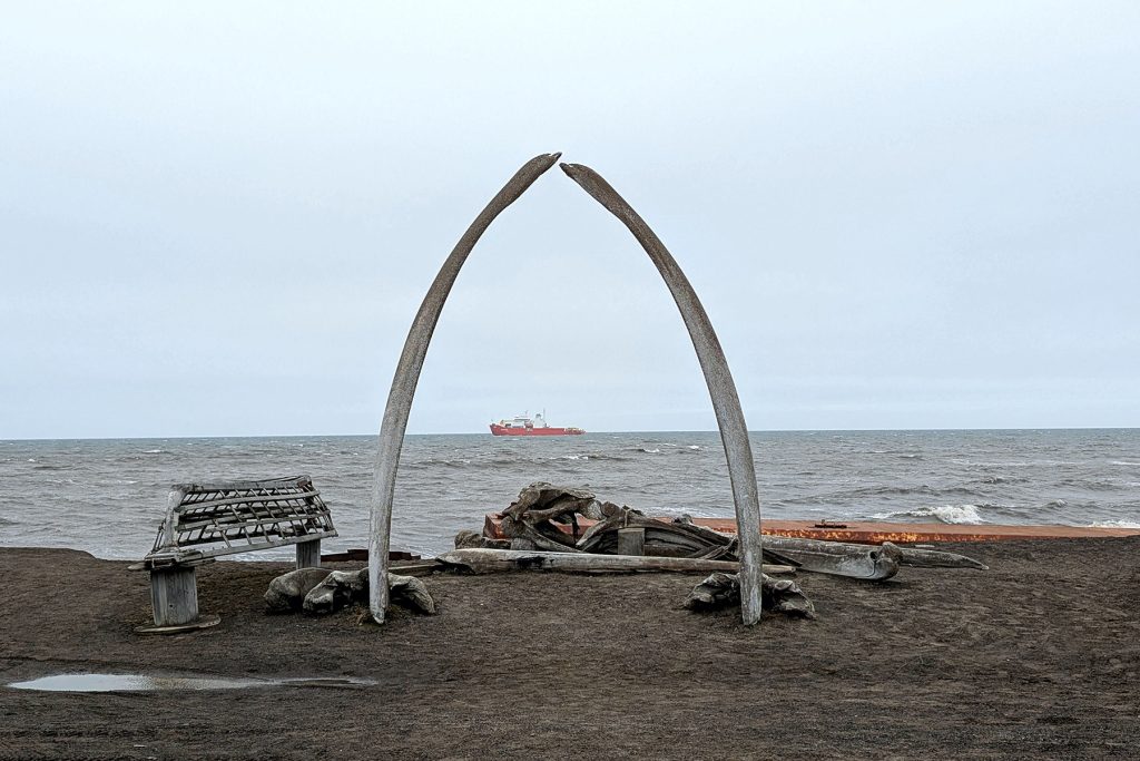 A beach with dark grey and brown sand in the foreground and ocean in the background. On the beach are bones from a whale and remnants of an overturned grey wooden boat. Two long bones form an arch. A red and white ship appears on the ocean offshore through the arch.
