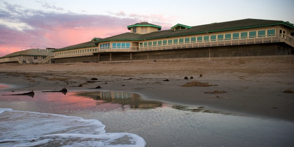 Ocean waves gently crash in front of MBARI’s research facilities. The research facilities have gray concrete walls, several large windows, and a gray roof with teal trim. In the foreground are wet sand and several clumps of brown drift kelp. In the background is a pale blue sky with pink clouds.