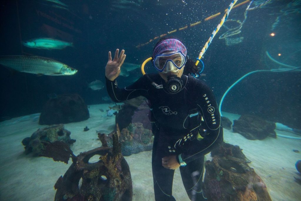 Image of Amanda Felix diving in a tank at Mote Aquarium.