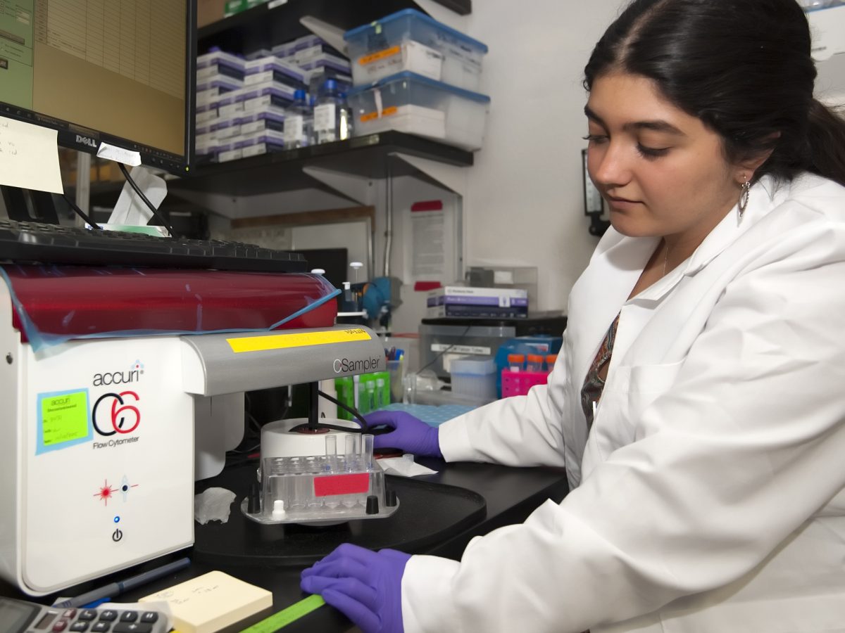 2016 summer intern María Corrochano Luque worked with mentors Alex Worden and Maria Hamilton on Examining the possibility of phagotrophy in the polar alga,
Micromonas sp.