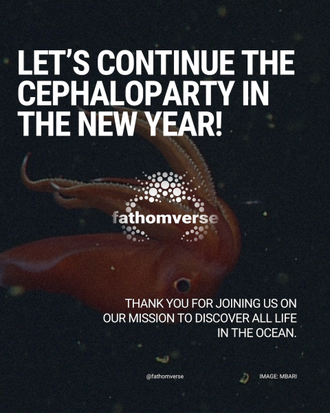 A promotional graphic for the Fathomverse mobile game features a red squid swimming in dark blue water. One text overlay reads Let's continue the Cephaloparty in the New Year! A second text overlay reads Thank you for joining us on our mission to discover all life in the ocean. At the bottom is an image credit caption acknowledging MBARI.