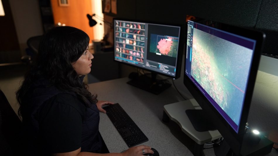 An MBARI researcher with long black hair wearing a dark-blue vest sits at a desk and looks at two computer screens displaying labeled images used to train artificial intelligence to identify deep-sea animals. The screen on the left has several small thumbnails of pink corals and a larger image of a pink coral. The screen on the right has video with several colored boxes around objects in the frame. The background is a darkened office with a brown wooden door lit from the hallway outside.