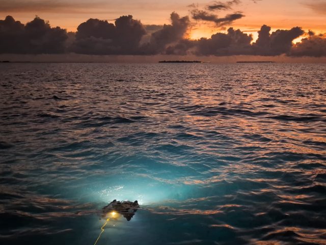 A robot moves along the surface of the ocean at sunset. The robot has a yellow metal cylinder at its core with a black metal frame, and a yellow cable extended offscreen to the bottom. The robot is at the bottom of the frame and has its lights on, illuminating a swath of blue water in front of it. In the background is an expanse of open water, with an orange sunset and dark clouds on the horizon.