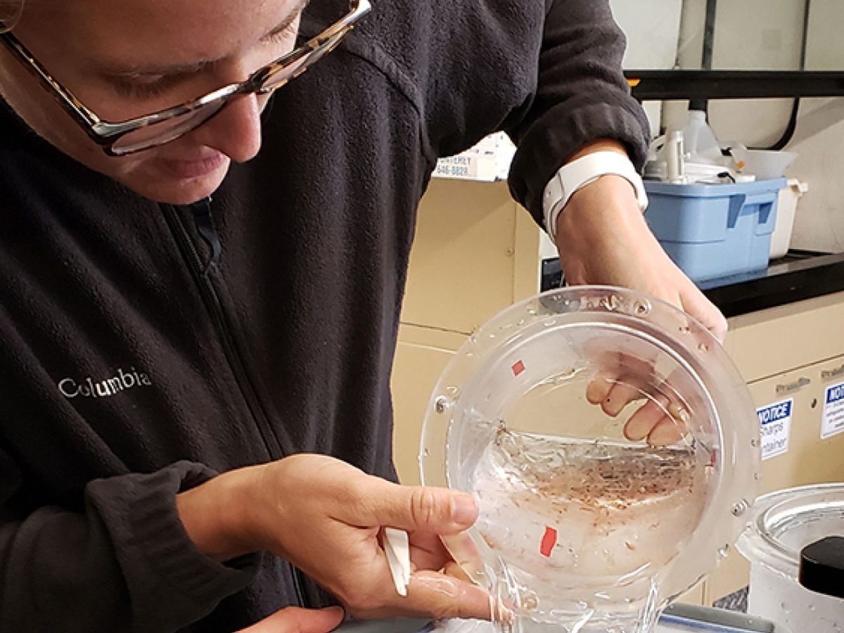 Postdoc Fellowships Mbari