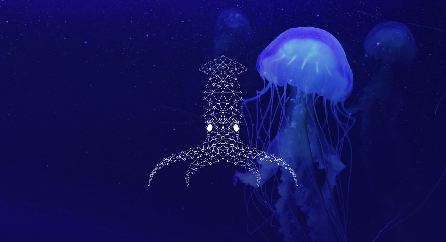 Jellyfish and FathomNet squid logo