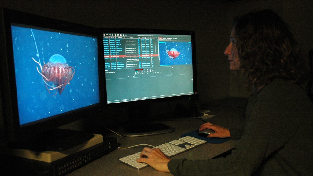 Research technician annotated video using MBARI's Video Annotation and Reference System.